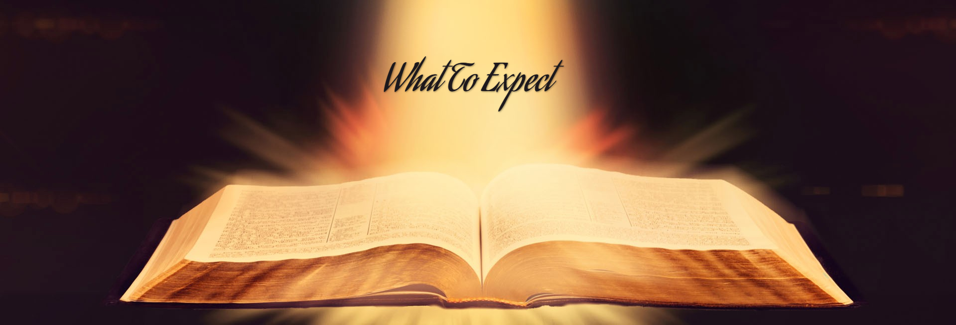 The Word of God Bible Church Website Banner